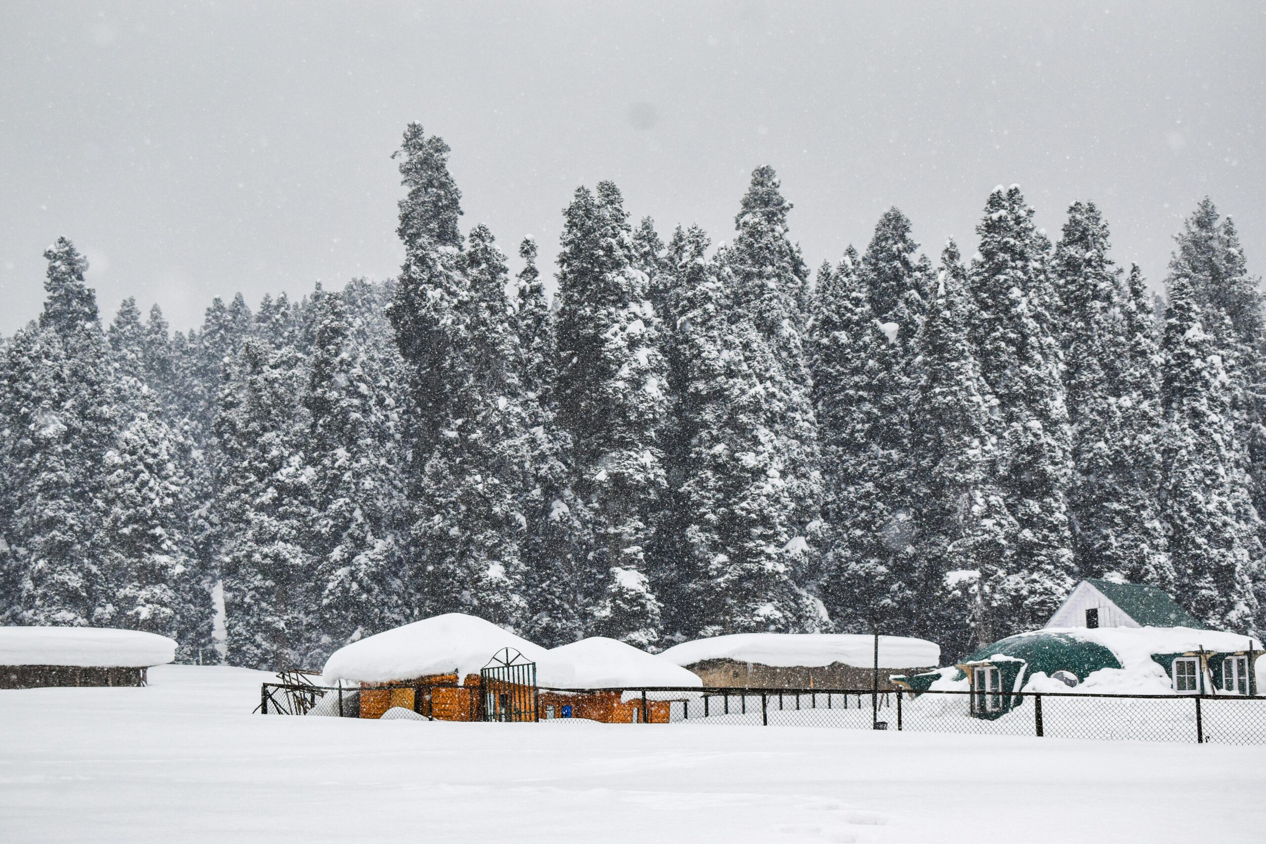 pexels-neha-parganihaa-2152600083-32287354