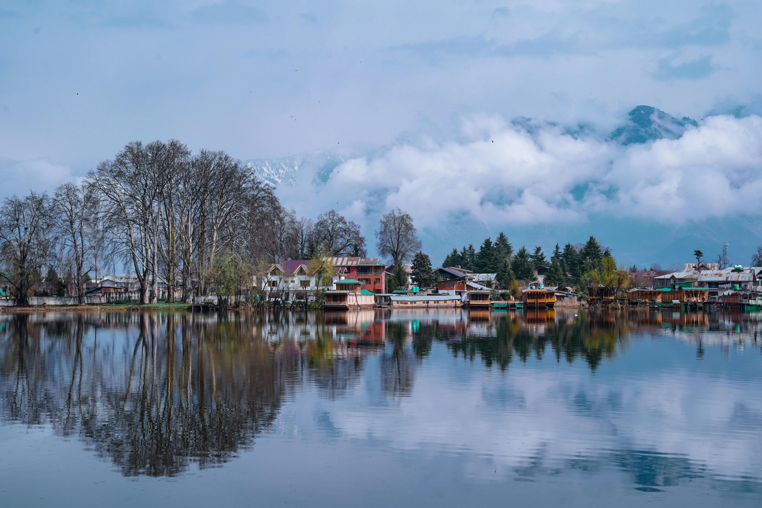 pexels-qaarif-7743328 (1)