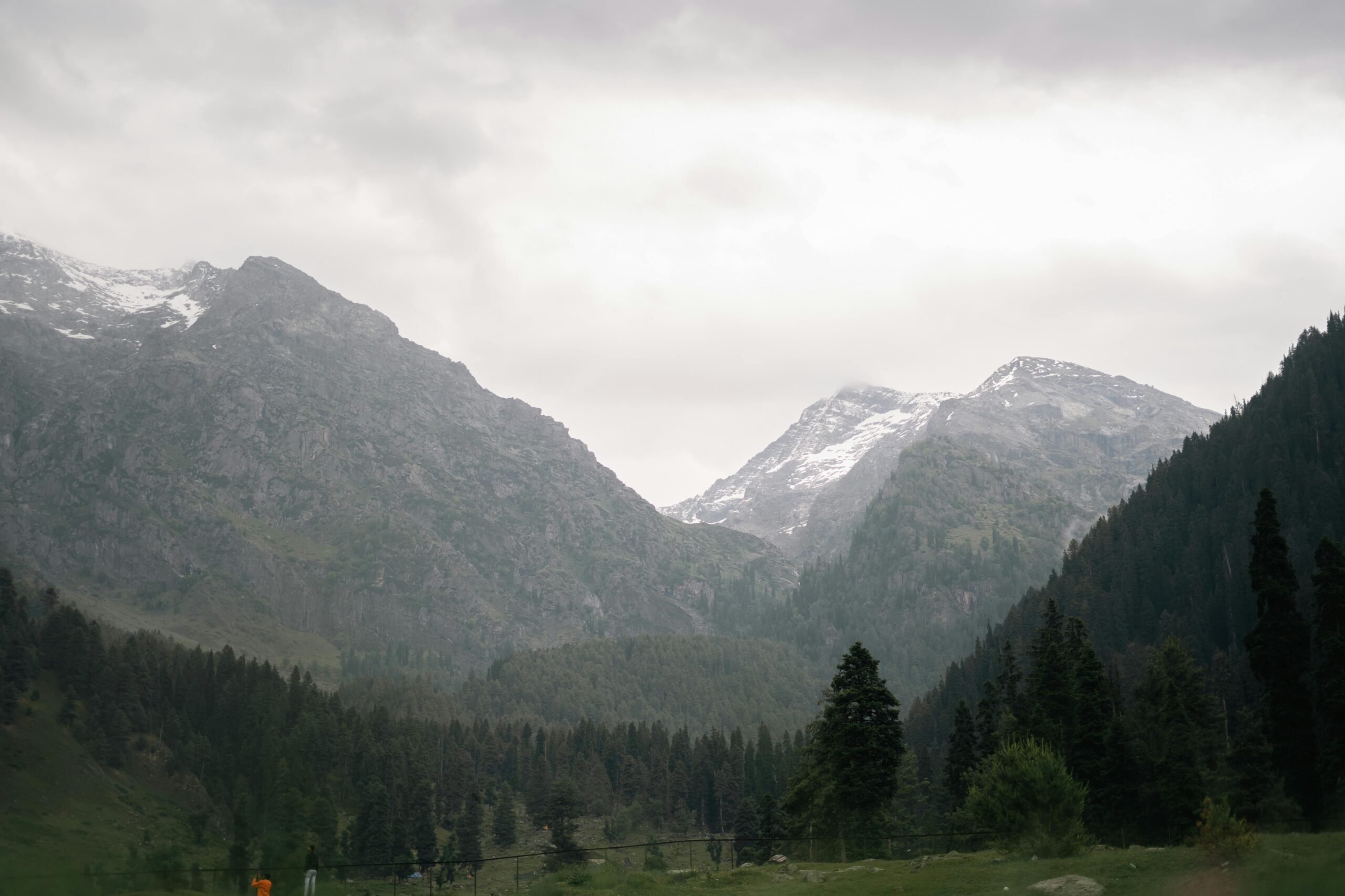 pexels-wanderinglenses-26752838